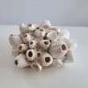 Barnacles porcelain, Zeepokken porselein, handmade object.