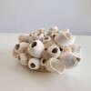 Barnacles porcelain, Zeepokken porselein, handmade object.