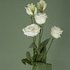 Bloem bloemschikker | Bloemhouder | Bloemboeket accessoire