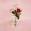 Bloem bloemschikker  | Bloemhouder | Bloemboeket accessoire