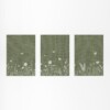 Botanische Set van 3 Posters - Bloemen en Vlinders