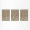 Botanische Set van 3 Posters - Bloemen en Vlinders