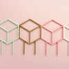 Cubus decoratieve plantensteun