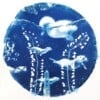 Cyanotype negatieven: eendjes / splish splash