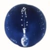 Cyanotype negatieven: vaasjes