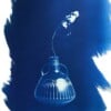 Cyanotype negatieven: vaasjes