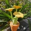 Decoratie en opberging bloempot 