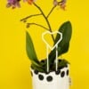 Hart decoratieve plantensteun