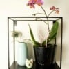 Hart decoratieve plantensteun