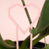 Hart decoratieve plantensteun
