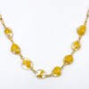 Ketting met Stenen Gevuld met Echte Bloemen uit Utrecht (The Blossom Chapter))