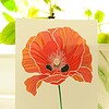 Klaproos A5 Print