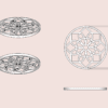 Mandala bloemschikker | Bloemhouder | Bloemboeket accessoire