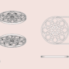 Mandala bloemschikker | Bloemhouder | Bloemboeket accessoire