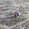 Rough Enough collectie, unieke zilveren ring