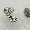 Stone garden Oorbellen