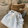 Totebag * big shopper of beachbag met palmboom of bisous