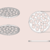 Waterdruppels bloemschikker | Bloemhouder | Bloemboeket accessoire