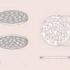 Waterdruppels bloemschikker | Bloemhouder | Bloemboeket accessoire
