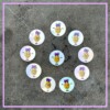 Zindelijkheidstraining Beloning set 