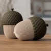 Acorn (eikel) Containers