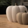 Decoratieve herfstpompoen