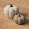 Decoratieve herfstpompoen