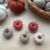 🎃 Handgemaakte sleutelhanger – Pompoen