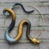Handgemaakt epoxy slang cirkel