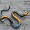 Handgemaakt epoxy slang cirkel