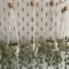 Handgemaakte hangplant 🌿