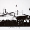 Monocolor zeefdruk s.s. Rotterdam - II
