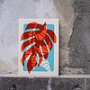 Monstera zeefdruk