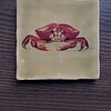 Tegeltje camel - Krab aquarel