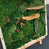 mosschilderij DIY-pakket 'Forest Vibes'