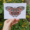 Art Deco Butterfly A6 Kaart, Vlinder Illustratie