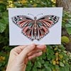 Art Deco Butterfly A6 Kaart, Vlinder Illustratie