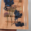 Bloemen perzik zeep houder