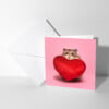 Lief beterschapskaartje met hamster