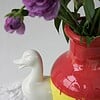 Blue duck