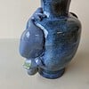 Blue duck