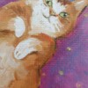 katje paars. Rode kater. Mini schilderij. Acryl op canvas origineel uniek. Kattenliefhebbers. Kattenkunst. Klein schilderij van poes. Lief