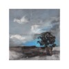 Landschapschilderij Grijs, Blauw & Zwart – Acryl op Hout 32x32cm – ‘Stormbound Tree’