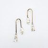 Asymmetrische Boog Oorbellen Met Hangers Gevuld met Echt Gipskruid (The Classics)