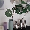 Gepersonaliseerd voor planten en bloemen