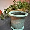 Gepersonaliseerd voor planten en bloemen