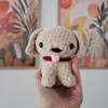 Handgemaakt Gehaakt Hondje van Chenillegaren – Decoratief Amigurumi Beeldje (Geen Speelgoed)