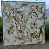 Lichtvanger van de Natuur – 3 Transparante Wand- & Raamdecoraties