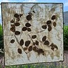 Lichtvanger van de Natuur – 3 Transparante Wand- & Raamdecoraties
