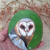 Uiltje op houtschijf